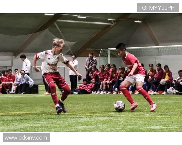 2017年奥地利与芬兰足球友谊赛精彩回顾与分析